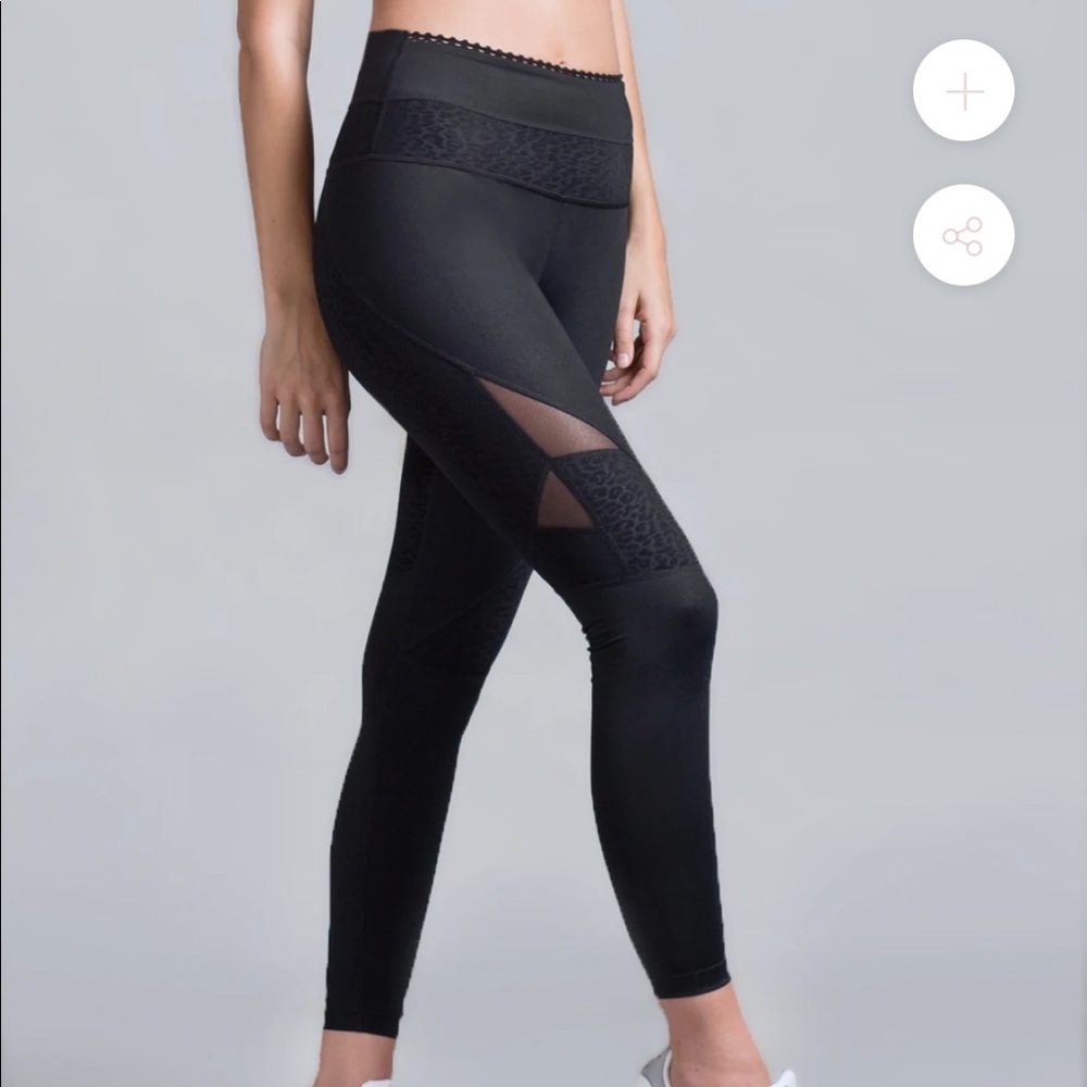 Track & Bliss Skywalker Legging